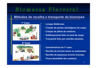 Biomassa Florestal