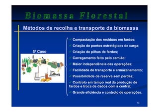Biomassa Florestal