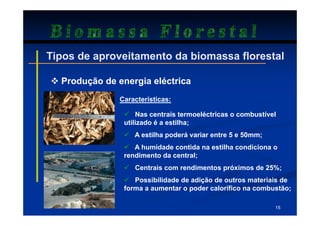 Biomassa Florestal