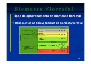 Biomassa Florestal