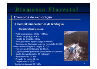 Biomassa Florestal