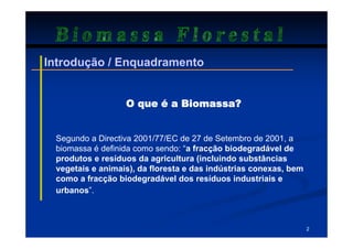 Biomassa Florestal