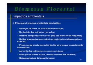 Biomassa Florestal