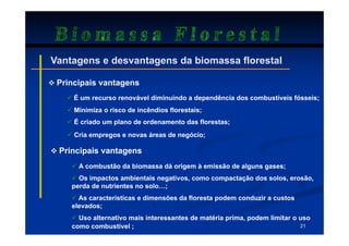 Biomassa Florestal
