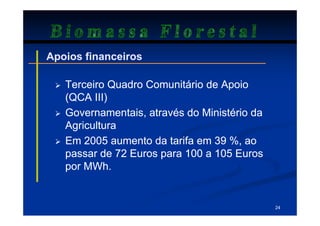 Biomassa Florestal