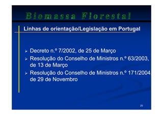 Biomassa Florestal