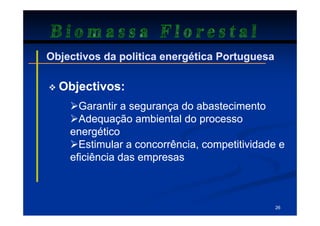 Biomassa Florestal