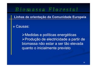 Biomassa Florestal