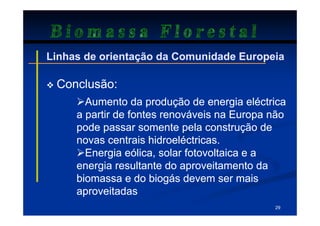 Biomassa Florestal