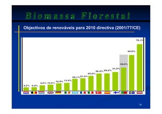 Biomassa Florestal