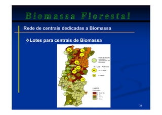 Biomassa Florestal