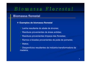 Biomassa Florestal