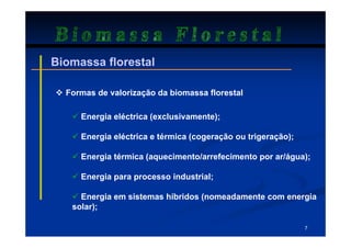 Biomassa Florestal