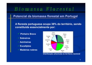 Biomassa Florestal