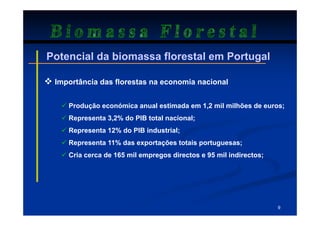 Biomassa Florestal
