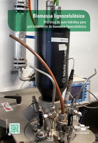 Biomassa lignocelulósica
Processo de auto-hidrólise para
pré­‑tratamento de biomassa lignocelulósica
Foto:
Apolo
Salvador
 
