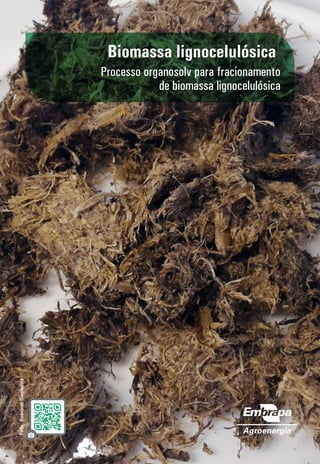 Biomassa lignocelulósica
Processo organosolv para fracionamento
de biomassa lignocelulósica
Foto:
Rossano
Gambetta
 