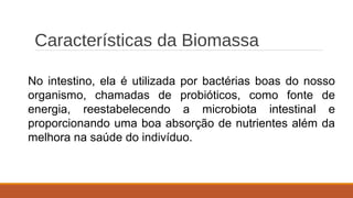 Características da Biomassa
No intestino, ela é utilizada por bactérias boas do nosso
organismo, chamadas de probióticos, como fonte de
energia, reestabelecendo a microbiota intestinal e
proporcionando uma boa absorção de nutrientes além da
melhora na saúde do indivíduo.
 