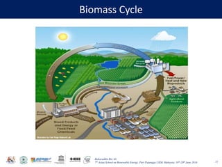 Baharuddin Bin Ali
7th Asian School on Renewable Energy, Puri Pujangga UKM, Malaysia, 16th-20th June 2014
Biomass Cycle
27
 