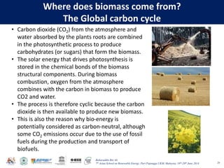 Baharuddin Bin Ali
7th Asian School on Renewable Energy, Puri Pujangga UKM, Malaysia, 16th-20th June 2014
Where does biomass come from?
The Global carbon cycle
29
• Carbon dioxide (CO2) from the atmosphere and
water absorbed by the plants roots are combined
in the photosynthetic process to produce
carbohydrates (or sugars) that form the biomass.
• The solar energy that drives photosynthesis is
stored in the chemical bonds of the biomass
structural components. During biomass
combustion, oxygen from the atmosphere
combines with the carbon in biomass to produce
CO2 and water.
• The process is therefore cyclic because the carbon
dioxide is then available to produce new biomass.
• This is also the reason why bio-energy is
potentially considered as carbon-neutral, although
some CO2 emissions occur due to the use of fossil
fuels during the production and transport of
biofuels.
 