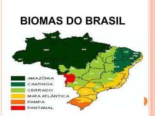 BIOMAS DO BRASIL