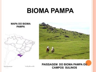 BIOMA PAMPA
MAPA DO BIOMA
PAMPA
PAISSAGEM DO BIOMA PAMPA OU
CAMPOS SULINOS