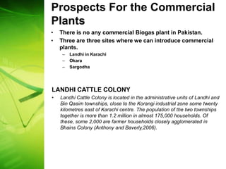 Prospects For the Commercial
Plants
•   There is no any commercial Biogas plant in Pakistan.
•   Three are three sites where we can introduce commercial
    plants.
     –   Landhi in Karachi
     –   Okara
     –   Sargodha




LANDHI CATTLE COLONY
•   Landhi Cattle Colony is located in the administrative units of Landhi and
    Bin Qasim townships, close to the Korangi industrial zone some twenty
    kilometres east of Karachi centre. The population of the two townships
    together is more than 1.2 million in almost 175,000 households. Of
    these, some 2,000 are farmer households closely agglomerated in
    Bhains Colony (Anthony and Baverly,2006).
 