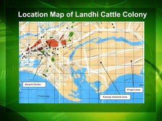 Location Map of Landhi Cattle Colony
 