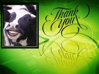 BIOMASS as renewable energy resource