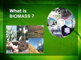 What is
BIOMASS ?
 