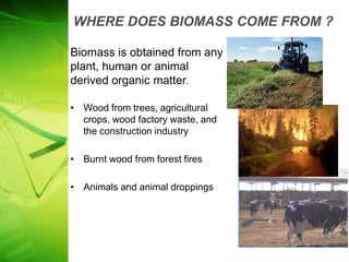 WHERE DOES BIOMASS COME FROM ?

Biomass is obtained from any
plant, human or animal
derived organic matter.

• Wood from trees, agricultural
  crops, wood factory waste, and
  the construction industry

• Burnt wood from forest fires

• Animals and animal droppings
 