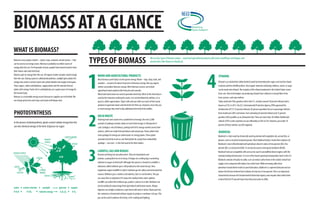 BIOMASS AT A GLANCE
WHAT IS BIOMASS?
TYPES OF BIOMASS
Biomass is any organic matter—wood, crops, seaweed, animal wastes—that
can be used as an energy source. Biomass is probably our oldest source of
energy after the sun. For thousands of years, people have burned wood to heat
their homes and cook their food.
Biomass gets its energy from the sun. All organic matter contains stored energy
from the sun. During a process called photosynthesis, sunlight gives plants the
energy they need to convert water and carbon dioxide into oxygen and sugars.
These sugars, called carbohydrates, supply plants and the animals that eat
plants with energy. Foods rich in carbohydrates are a good source of energy for
the human body.
Biomass is a renewable energy source because its supplies are not limited.We
can always grow trees and crops, and waste will always exist.
Weusefourtypesofbiomasstoday—woodandagriculturalproducts,solidwaste,landfillgasandbiogas,and
alcoholfuels(likeEthanolorBiodiesel).
Most biomass used today is home grown energy.Wood—logs, chips, bark, and
sawdust—accounts for about 44 percent of biomass energy. But any organic
matter can produce biomass energy. Other biomass sources can include
agricultural waste products like fruit pits and corncobs.
Wood and wood waste are used to generate electricity. Much of the electricity is
used by the industries making the waste; it is not distributed by utilities, it is a
process called cogeneration. Paper mills and saw mills use much of their waste
products to generate steam and electricity for their use. However, since they use
so much energy, they need to buy additional electricity from utilities.
WOOD AND AGRICULTURAL PRODUCTS
SOLIDWASTE
LANDFILL GAS AND BIOGAS
Burning trash turns waste into a usable form of energy. One ton (2,000
pounds) of garbage contains about as much heat energy as 500 pounds of
coal. Garbage is not all biomass; perhaps half of its energy content comes from
plastics, which are made from petroleum and natural gas. Power plants that
burn garbage for energy are called waste-to-energy plants.These plants
generate electricity much as coal-fired plants do, except that combustible
garbage—not coal—is the fuel used to fire their boilers.
Bacteria and fungi are not picky eaters.They eat dead plants and
animals, causing them to rot or decay. A fungus on a rotting log is converting
cellulose to sugars to feed itself. Although this process is slowed in a landfill, a
substance called methane gas is still produced as the waste decays. New
regulations require landfills to collect methane gas for safety and environmental
reasons. Methane gas is colorless and odorless, but it is not harmless.The gas
can cause fires or explosions if it seeps into nearby homes and is ignited.
Landfills can collect the methane gas, purify it, and use it as fuel. Methane can
also be produced using energy from agricultural and human wastes. Biogas
digesters are airtight containers or pits lined with steel or bricks.Waste put into
the containers is fermented without oxygen to produce a methane-rich gas.This
gas can be used to produce electricity, or for cooking and lighting.
ETHANOL
BIODIESEL
PHOTOSYNTHESIS
In the process of photosynthesis, plants convert radiant energy from the
sun into chemical energy in the form of glucose (or sugar)
Ethanol is an alcohol fuel (ethyl alcohol) made by fermenting the sugars and starches found
in plants and then distilling them. Any organic material containing cellulose, starch, or sugar
can be made into ethanol.The majority of the ethanol produced in the United States comes
from corn. New technologies are producing ethanol from cellulose in woody fibers from
trees, grasses, and crop residues.
Today nearly all of the gasoline sold in the U.S. contains around 10 percent ethanol and is
known as E10. In 2011, the U.S. Environmental Protection Agency (EPA) approved the
introduction of E15 (15 percent ethanol, 85 percent gasoline) for use in passenger vehicles
from model year 2001 and newer. Fuel containing 85 percent ethanol and 15 percent
gasoline (E85) qualifies as an alternative fuel.There are more than 10 million flexible fuel
vehicles (FFV) on the road that can run efficiently on E85 or E10. However, just under 10
percent of these vehicles use E85 regularly.
Biodiesel is a fuel made by chemically reacting alcohol with vegetable oils, animal fats, or
greases, such as recycled restaurant grease. Most biodiesel today is made from soybean oil.
Biodiesel is most often blended with petroleum diesel in ratios of two percent (B2), five
percent (B5), or 20 percent (B20). It can also be used as neat (pure) biodiesel (B100).
Biodiesel fuels are compatible with and can be used in unmodified diesel engines with the
existing fueling infrastructure. It is one of the fastest growing transportation fuels in the U.S.
Biodiesel contains virtually no sulfur, so it can reduce sulfur levels in the nation’s diesel fuel
supply, even compared with today’s low sulfur fuels.While removing sulfur from
petroleum-based diesel results in poor lubrication, biodiesel is a superior lubricant and can
reduce the friction of diesel fuel in blends of only one or two percent.This is an important
characteristic because the Environmental Protection Agency now requires that sulfur levels
in diesel fuel be 97 percent lower than they were prior to 2006.
 