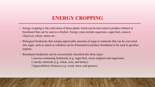 ENERGY CROPPING
• Energy cropping is the cultivation of those plants which can be harvested to produce ethanol or
bioethanol that can be used as a biofuel. Energy crops include sugarcane, sugar-beet, cassava
(Tapioca), wheat, maize etc.
• Biological feedstocks that contain appreciable amounts of sugar or materials that can be converted
into sugar, such as starch or cellulose can be fermented to produce bioethanol to be used in gasoline
engines.
• Bioethanol feedstocks can be conveniently classified into three types:
1.sucrose-containing feedstocks (e.g. sugar beet, sweet sorghum and sugarcane)
2.starchy materials (e.g. wheat, corn, and barley)
3.lignocellulosic biomass (e.g. wood, straw, and grasses).
 