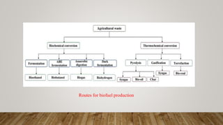 Routes for biofuel production
 
