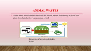 ANIMAL WASTES
• Animal wastes are also biomass materials in that they are derived, either directly or via the food
chain, from plants that have been consumed as food.
Conversion of animal waste to bio
energy
 