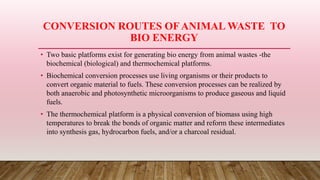 CONVERSION ROUTES OFANIMAL WASTE TO
BIO ENERGY
• Two basic platforms exist for generating bio energy from animal wastes -the
biochemical (biological) and thermochemical platforms.
• Biochemical conversion processes use living organisms or their products to
convert organic material to fuels. These conversion processes can be realized by
both anaerobic and photosynthetic microorganisms to produce gaseous and liquid
fuels.
• The thermochemical platform is a physical conversion of biomass using high
temperatures to break the bonds of organic matter and reform these intermediates
into synthesis gas, hydrocarbon fuels, and/or a charcoal residual.
 