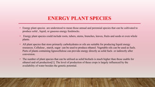 ENERGY PLANT SPECIES
• Energy plant species are understood to mean those annual and perennial species that can be cultivated to
produce solid , liquid, or gaseous energy feedstocks.
• Energy plant species could include roots, tubers, stems, branches, leaves, fruits and seeds or even whole
plants.
• All plant species that store primarily carbohydrates or oils are suitable for producing liquid energy
resources. Cellulose , starch, sugar can be used to produce ethanol. Vegetable oils can be used as fuels.
Parts of plants containing lignocellulose can provide energy directly as solid fuels or indirectly after
conversion.
• The number of plant species that can be utilised as solid biofuels is much higher than those usable for
ethanol and oil production[1]. The level of production of these crops is largely influenced by the
availability of water besides the genetic potential.
 