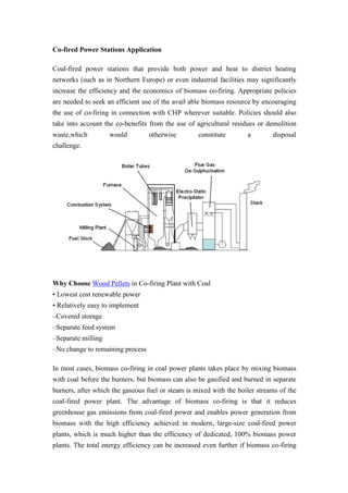 Biomass co firing in coal power plants | PDF