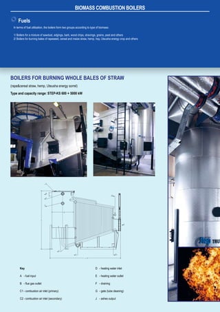 Biomass combustion boilers | PDF