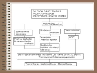 Biomass conversion for energy | PDF