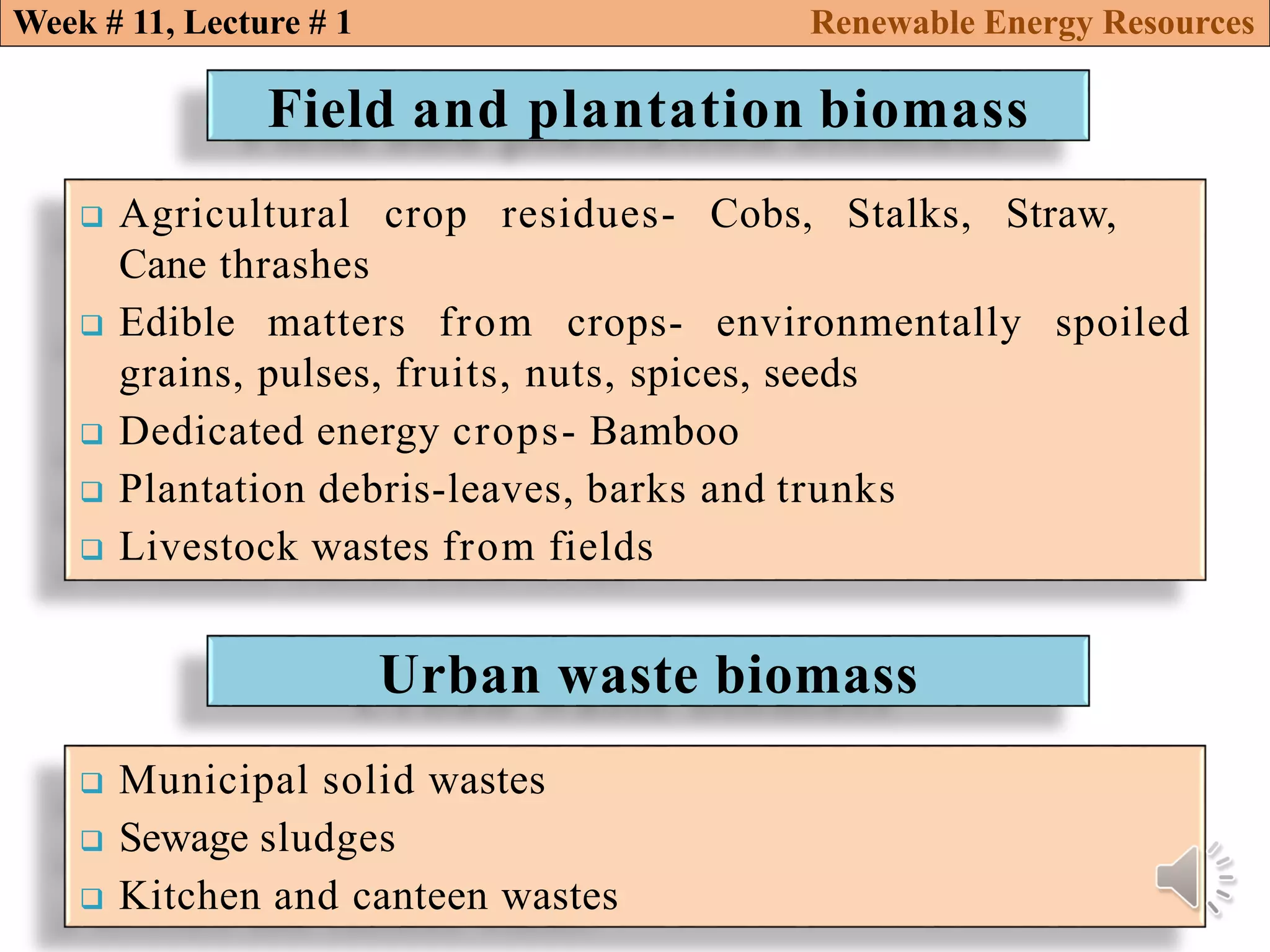 Biomass conversion technologies renewable energy resources | PDF