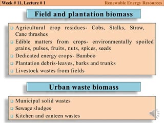 Biomass conversion technologies renewable energy resources | PDF