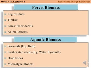 Biomass conversion technologies renewable energy resources | PDF