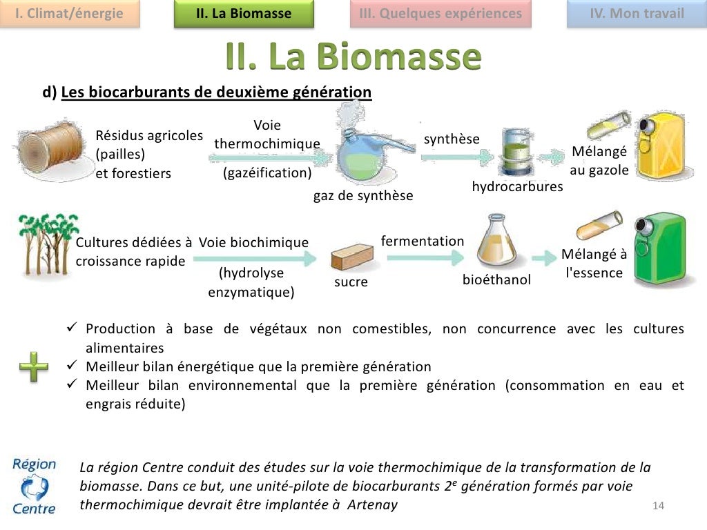 Biomasse