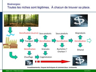 Bioénergies:
  Toutes les niches sont légitimes. À chacun de trouver sa place.




Biomasse forestière



                    Densification (Kcal/m3) Sous-produits           Sous-produits           Bioproduits


                              Transport        Densification         Densification         Densification


                              Densification       Granules           Buchettes ?                 Éthanol
                                                                      Charbon ?

                              Chauffage         Cogénération



                                 Investissements, risques techniques et commerciaux croissants

SADC A-O – Filière biomasse                                                                                Avril 2012
 