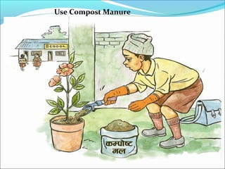 Use Compost Manure
 