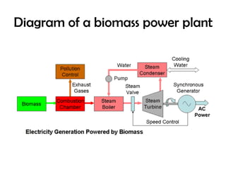 Diagram of a biomass power plant
 