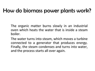 How do biomass power plants work?
The organic matter burns slowly in an industrial
oven which heats the water that is inside a steam
boiler.
The water turns into steam, which moves a turbine
connected to a generator that produces energy.
Finally, the steam condenses and turns into water,
and the process starts all over again.
 