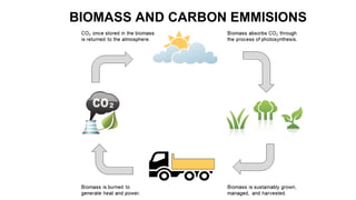BIOMASS AND CARBON EMMISIONS
 