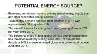 POTENTIAL ENERGY SOURCE?
• Bioenergy contributes more to primary global energy supply than
any other renewable energy source.
• Total energy demand supplied from biomass in 2015 was
approximately 60 exajoules (EJ).
• The use of biomass for energy has been growing at around 2%
per year since 2010.
• The bioenergy share in total global primary energy consumption
has remained relatively steady since 2005, at around 10%,
despite a 24% increase in overall global energy demand between
2005 and 2015.
 